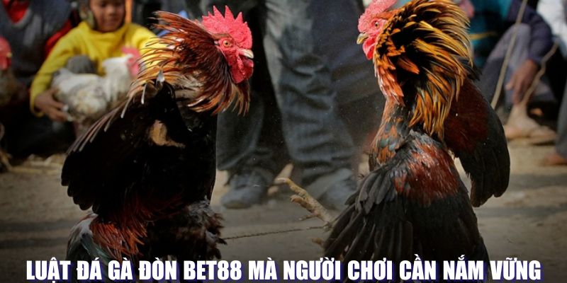 Luật đá gà đòn Bet88