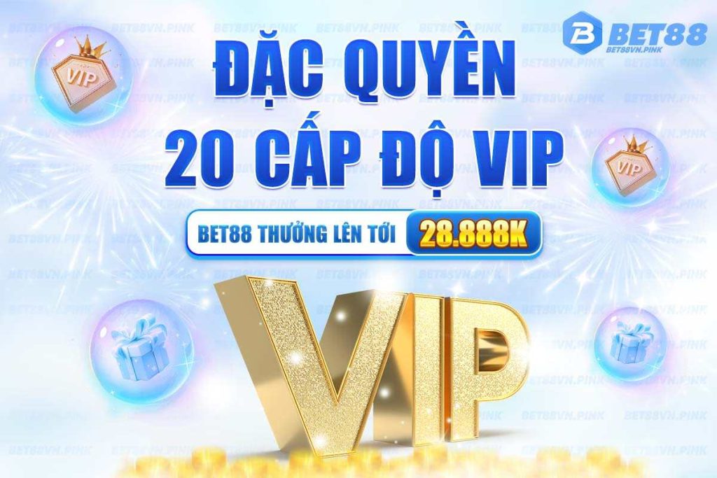 dac quyen 20 cap do vip